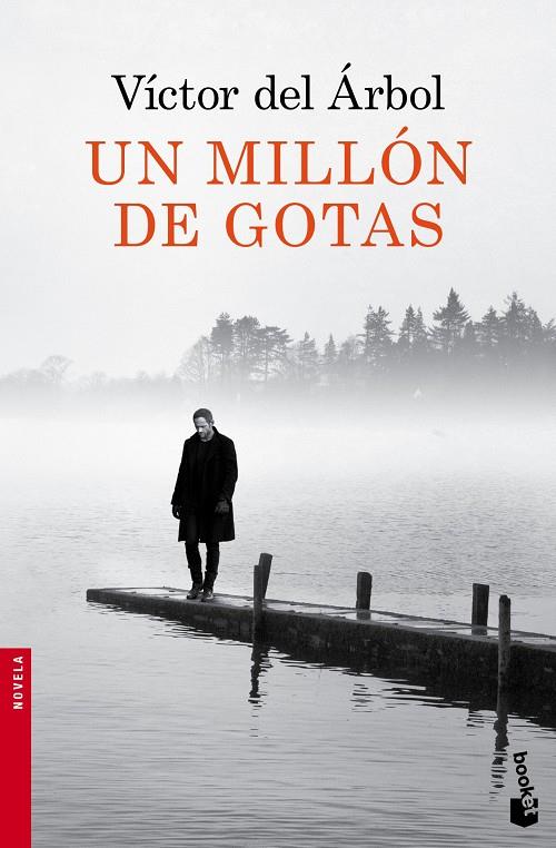 Un millón de gotas | 9788423349418 | del Árbol, Víctor | Librería Castillón - Comprar libros online Aragón, Barbastro