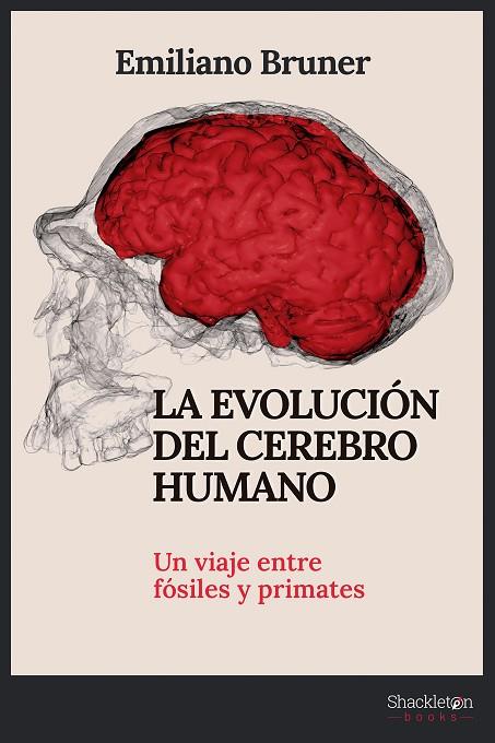 La evolución del cerebro humano | 9788413612249 | Bruner, Emiliano | Librería Castillón - Comprar libros online Aragón, Barbastro