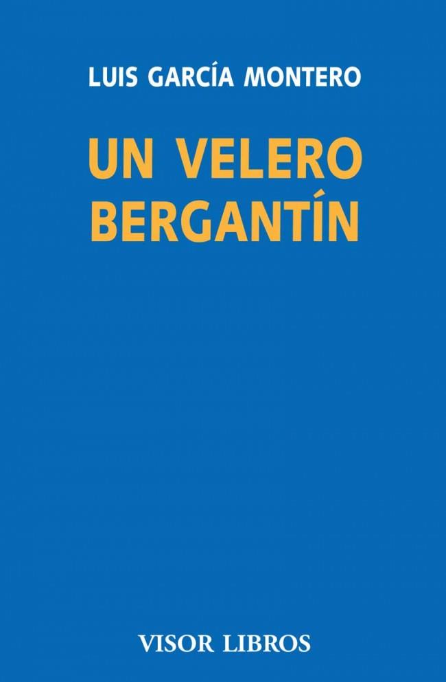 UN VELERO BERGANTIN. DEFENSA DE LA LITERATURA | 9788498956917 | GARCIA MONTERO, LUIS | Librería Castillón - Comprar libros online Aragón, Barbastro