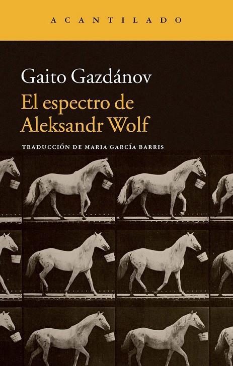 El espectro de Aleksandr Wolf | 9788416011414 | Gazdánov, Gaito/García Barris, María | Librería Castillón - Comprar libros online Aragón, Barbastro