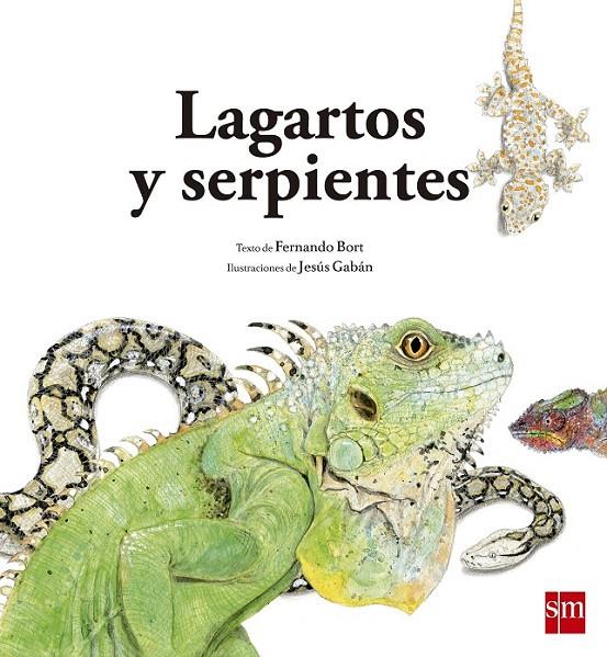 LAGARTOS Y SERPIENTES - Nat.3 | 9788467573947 | Bort Misol, Fernando | Librería Castillón - Comprar libros online Aragón, Barbastro