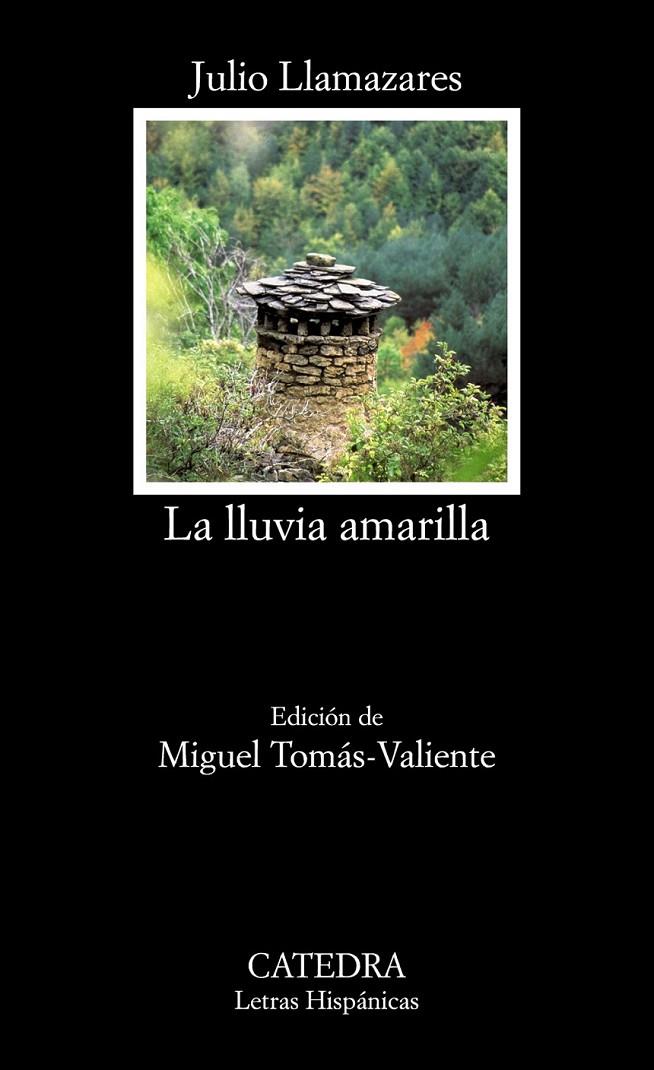 La lluvia amarilla | 9788437635972 | Llamazares, Julio | Librería Castillón - Comprar libros online Aragón, Barbastro