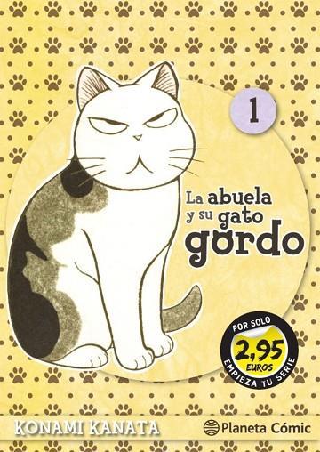SM La abuela y su gato gordo nº 01 2,95 | 9788411122603 | Kanata, Konami | Librería Castillón - Comprar libros online Aragón, Barbastro