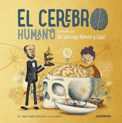 El cerebro humano | 9788426147110 | Barrecheguren, Pablo | Librería Castillón - Comprar libros online Aragón, Barbastro