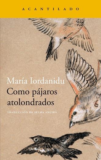 Como pájaros atolondrados | 9788419036704 | Iordanidu, Maria | Librería Castillón - Comprar libros online Aragón, Barbastro