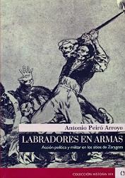LABRADORES EN ARMAS/ACCION POLITICA Y MILITAR EN L | 9788416565054 | Peiró Arroyo, Antonio | Librería Castillón - Comprar libros online Aragón, Barbastro