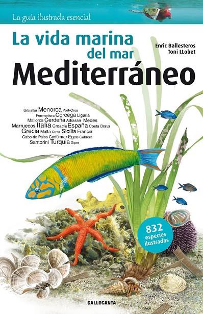 La vida marina del mar Mediterráneo | 9788415885269 | Ballesteros Sagarra, Enric | Librería Castillón - Comprar libros online Aragón, Barbastro