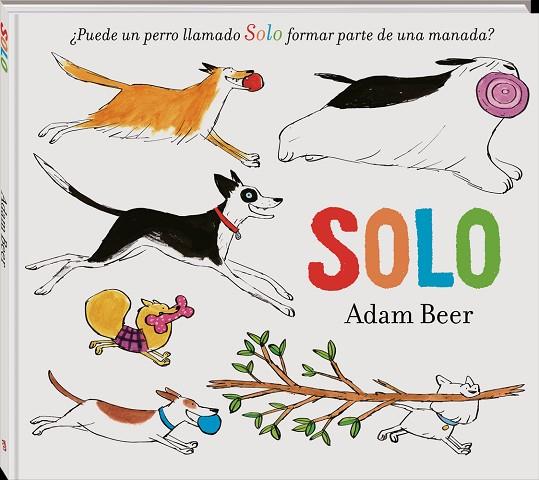 Solo | 9788418762246 | Beer, Adam | Librería Castillón - Comprar libros online Aragón, Barbastro