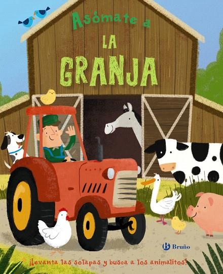 Asómate a la granja | 9788469622834 | Varios Autores | Librería Castillón - Comprar libros online Aragón, Barbastro