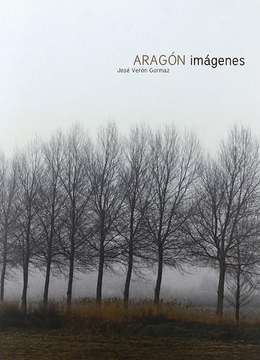 ARAGON EN IMAGENES | 9788483219638 | VERON GORMAZ, JOSE | Librería Castillón - Comprar libros online Aragón, Barbastro
