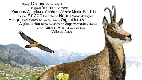 Flora y fauna del Pirineo a nuestro alcance | Librería Castillón - Comprar libros online Aragón, Barbastro