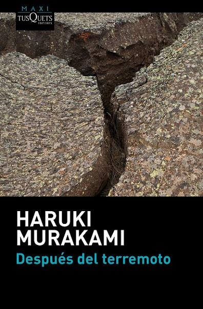 Después del terremoto | 9788483838891 | Murakami, Haruki | Librería Castillón - Comprar libros online Aragón, Barbastro