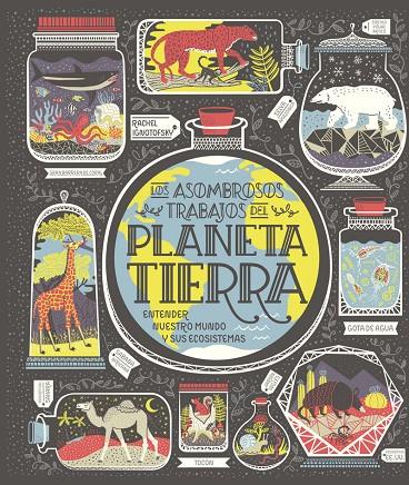 Planeta Tierra | 9788417651794 | Ignotofsky, Rachel | Librería Castillón - Comprar libros online Aragón, Barbastro