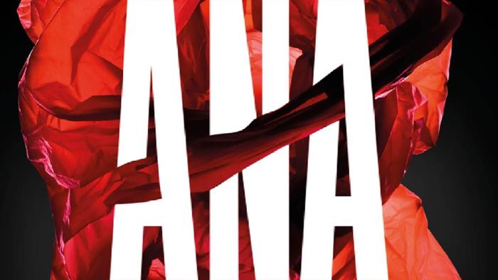 Ana de Roberto Santiago | Librería Castillón - Comprar libros online Aragón, Barbastro