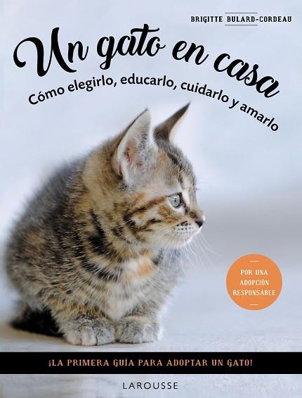 Un gato en casa | 9788419436092 | Bulard-Cordeau, Brigitte | Librería Castillón - Comprar libros online Aragón, Barbastro
