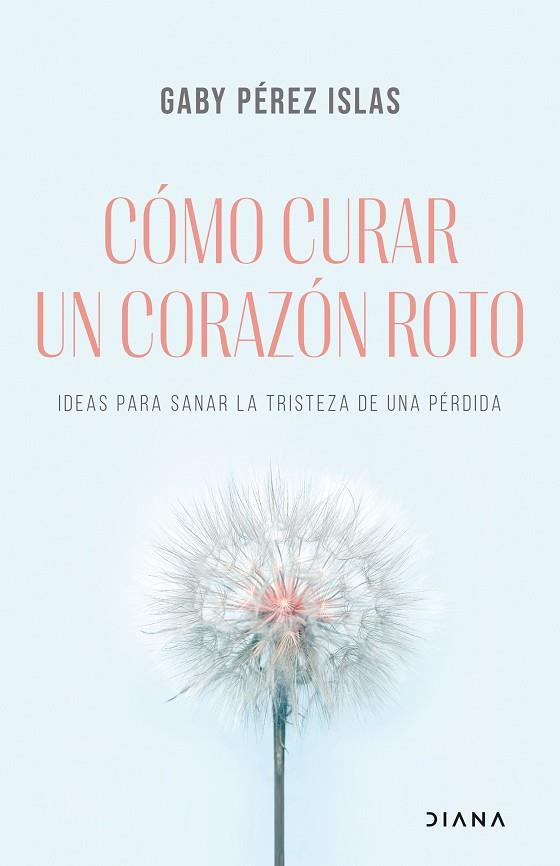 Cómo curar un corazón roto | 9788411190701 | Pérez Islas, Gaby | Librería Castillón - Comprar libros online Aragón, Barbastro