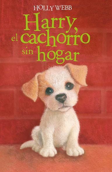Harry, el cachorro sin hogar | 9788418139376 | Webb, Holly | Librería Castillón - Comprar libros online Aragón, Barbastro