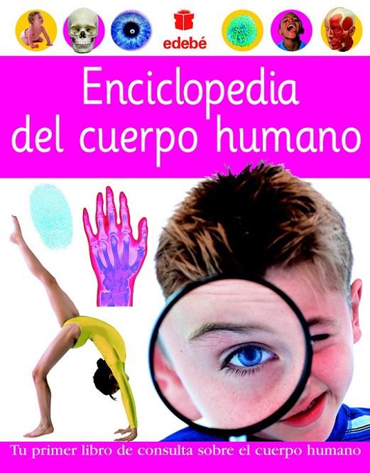 ENCICLOPEDIA DEL CUERPO HUMANO | 9788423674435 | DORLING KINDERSLEY LIMITED | Librería Castillón - Comprar libros online Aragón, Barbastro
