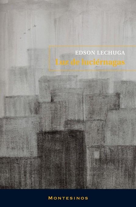 LUZ DE LUCIERNAGA | 9788492616602 | LECHUGA, EDSON | Librería Castillón - Comprar libros online Aragón, Barbastro