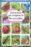 DICCIONARIO POR IMAGENES DE LOS ANIMALITOS | 9782215105039 | BEAUMONT, EMILIE | Librería Castillón - Comprar libros online Aragón, Barbastro