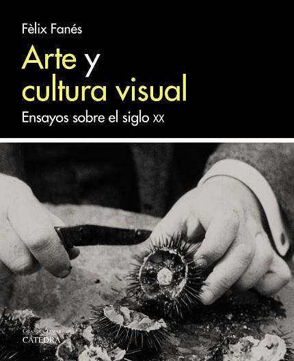 Arte y cultura visual | 9788437638058 | Fanés, Fèlix | Librería Castillón - Comprar libros online Aragón, Barbastro