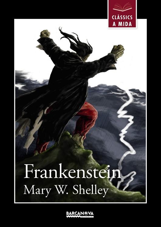 Frankenstein | 9788448934927 | Shelley, Mary W. | Librería Castillón - Comprar libros online Aragón, Barbastro