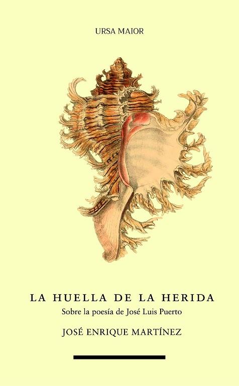 La huella de la herida | 9788418718618 | Martínez, José Enrique | Librería Castillón - Comprar libros online Aragón, Barbastro