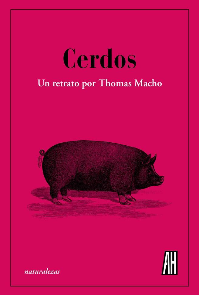 Cerdos | 9788412403398 | Macho, Thomas | Librería Castillón - Comprar libros online Aragón, Barbastro