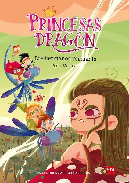 LOS HERMANOS TORMENTA - Princesas Dragón 5 | 9788491073116 | Mañas, Pedro | Librería Castillón - Comprar libros online Aragón, Barbastro