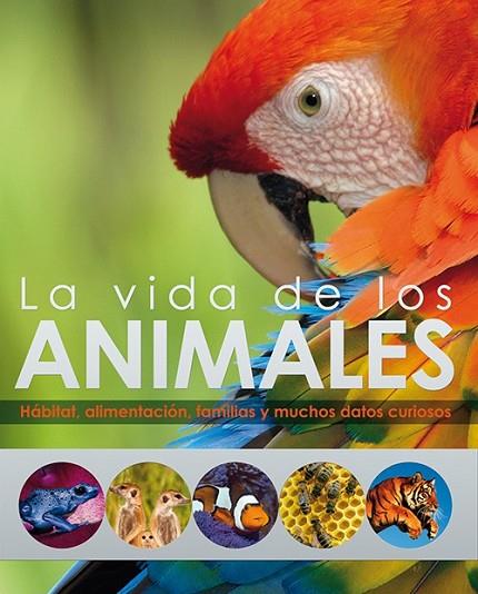 La vida de los animales | 9788428536691 | Burnie, David | Librería Castillón - Comprar libros online Aragón, Barbastro