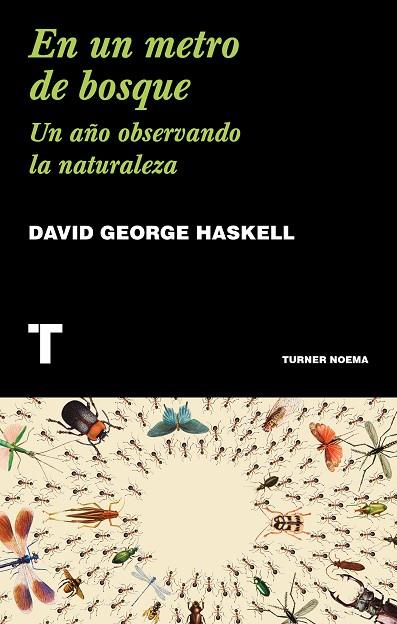 En un metro de bosque | 9788417866211 | Haskell, David George | Librería Castillón - Comprar libros online Aragón, Barbastro