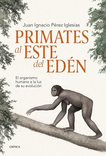 Primates al este del Edén | 9788491995869 | Pérez Iglesias, Juan Ignacio | Librería Castillón - Comprar libros online Aragón, Barbastro