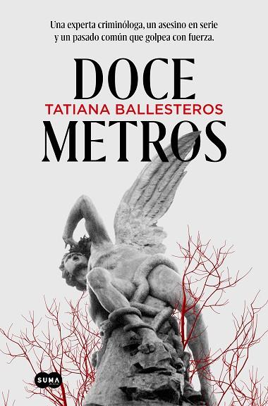 Doce metros | 9788491296485 | Ballesteros, Tatiana | Librería Castillón - Comprar libros online Aragón, Barbastro