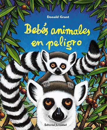 BEBES ANIMALES EN PELIGRO | 9788426137791 | GRANT, DONALD | Librería Castillón - Comprar libros online Aragón, Barbastro