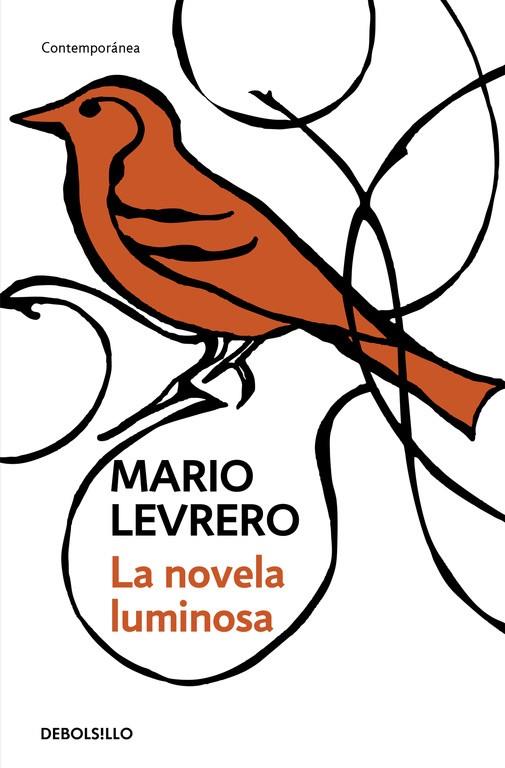 NOVELA LUMINOSA, LA | 9788499080260 | LEVRERO, MARIO | Librería Castillón - Comprar libros online Aragón, Barbastro