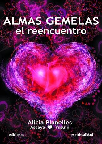ALMAS GEMELAS : EL REENCUENTRO | 9788496851412 | PLANELLES, ALICIA | Librería Castillón - Comprar libros online Aragón, Barbastro