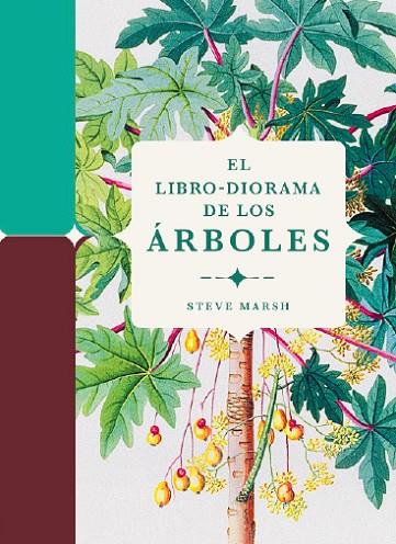 El libro-diorama de los árboles | 9788412386196 | Marsh, Steve | Librería Castillón - Comprar libros online Aragón, Barbastro