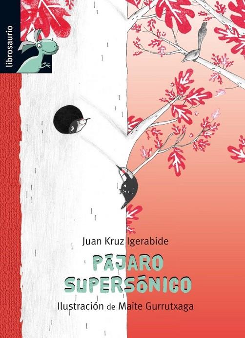 Pajaro supersónico | 9788415426196 | Igerabide, Juan Kruz | Librería Castillón - Comprar libros online Aragón, Barbastro