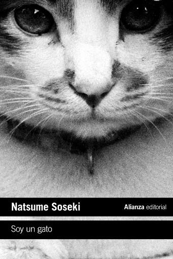 Soy un gato | 9788413620718 | Soseki, Natsume | Librería Castillón - Comprar libros online Aragón, Barbastro