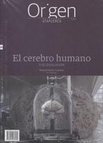 El cerebro humano | 9788412236170 | Martín Loeches, Manuel | Librería Castillón - Comprar libros online Aragón, Barbastro