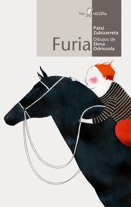 FURIA | 9788498450279 | ZUBIZARRETA DORRONSORO, PATXI | Librería Castillón - Comprar libros online Aragón, Barbastro