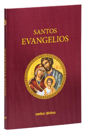 Santos Evangelios | 9788490731338 | Desconocido | Librería Castillón - Comprar libros online Aragón, Barbastro