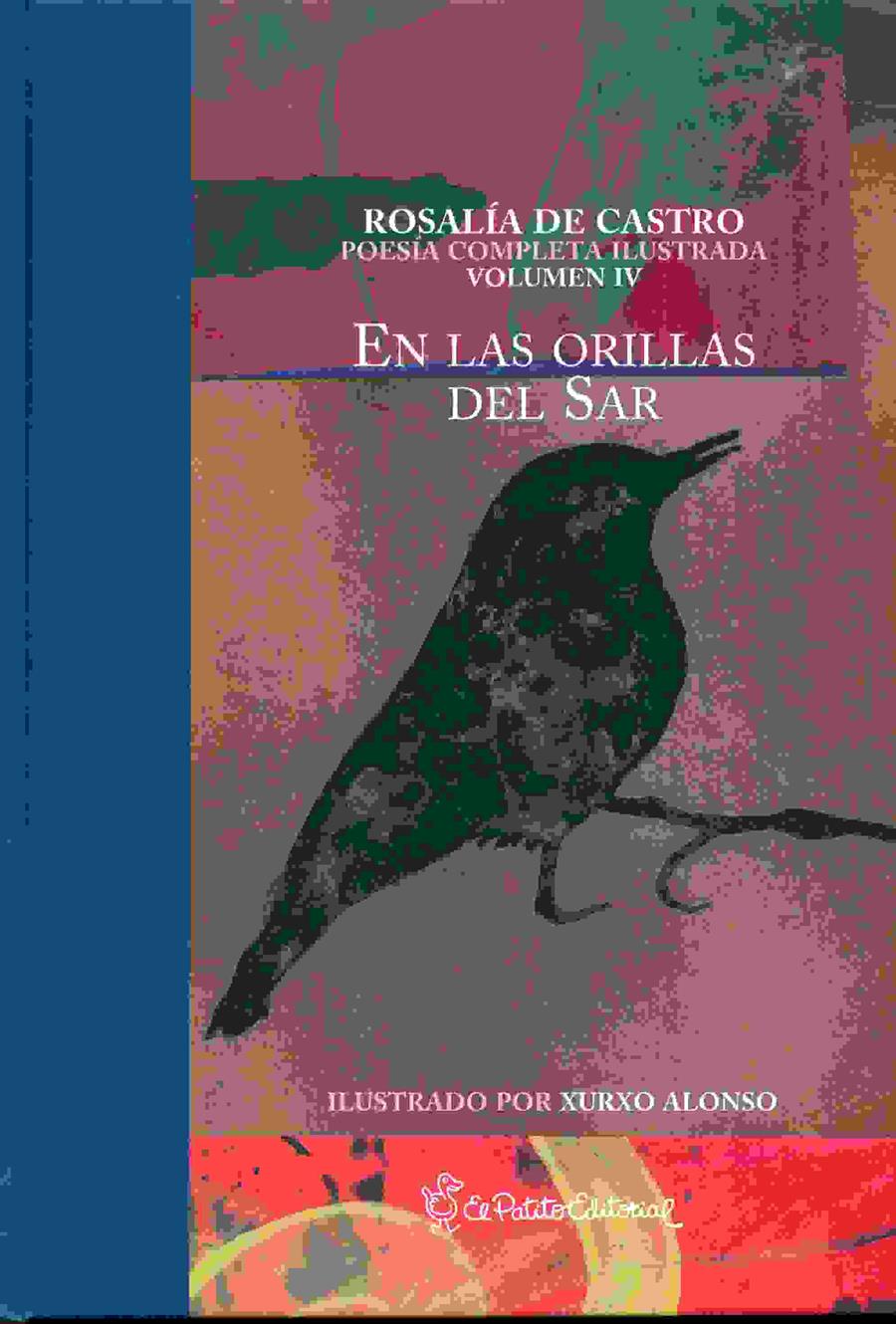 EN LAS ORILLAS DEL SAR | 9788494321382 | CASTRO, ROSALÍA DE | Librería Castillón - Comprar libros online Aragón, Barbastro