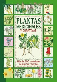 PLANTAS MEDICINALES Y CURATIVAS | 9788415401759 | VV.AA. | Librería Castillón - Comprar libros online Aragón, Barbastro