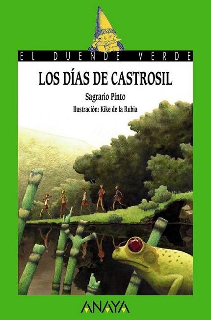 Los días de Castrosil | 9788467840636 | Pinto, Sagrario | Librería Castillón - Comprar libros online Aragón, Barbastro