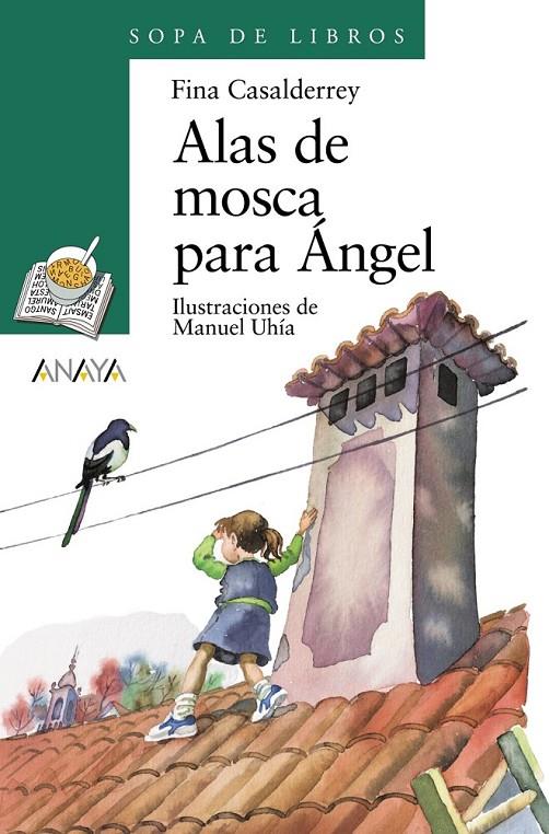 ALAS DE MOSCA PARA ANGEL | 9788420789873 | CASALDERREY, FINA | Librería Castillón - Comprar libros online Aragón, Barbastro