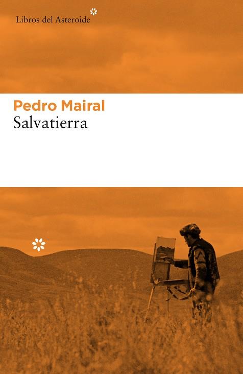 Salvatierra | 9788417977597 | Mairal, Pedro | Librería Castillón - Comprar libros online Aragón, Barbastro