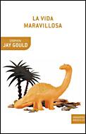 VIDA MARAVILLOSA, LA - DRAKONTOS BOLSILLO | 9788484328049 | GOULD, STEPHEN JAY | Librería Castillón - Comprar libros online Aragón, Barbastro
