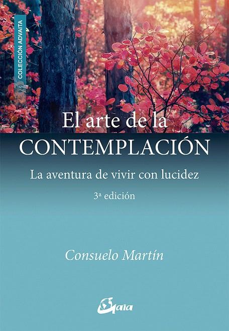 El arte de la contemplación | 9788484457565 | Martín Díaz, Consuelo | Librería Castillón - Comprar libros online Aragón, Barbastro