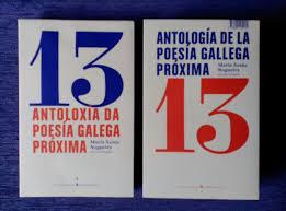 (G) ANTOLOXIA DA POESIA GALEGA PROXIMA | 9788494570179 | NOGUEIRA,MARIA XESUS | Librería Castillón - Comprar libros online Aragón, Barbastro